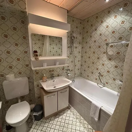 Karwendel Paradies Apartmán